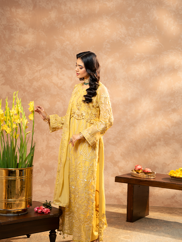 Zebtan | Zeenat Festive Collection | ZN-01 - Riwayat-e-Khas