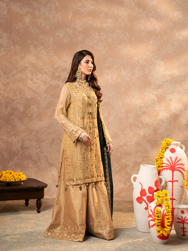 Zebtan | Zeenat Festive Collection | ZN-06 - Riwayat-e-Khas