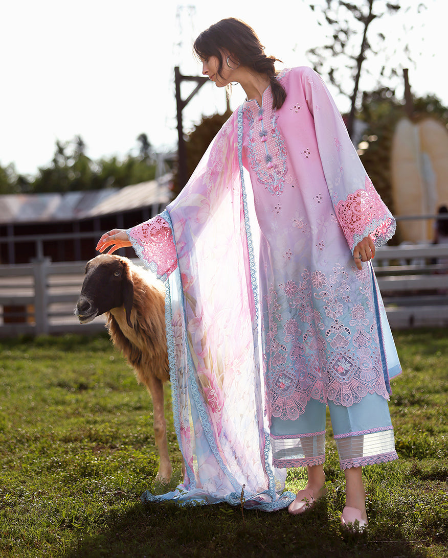 Mushq | Solace | Ombre Chikankari | Faint Blossom