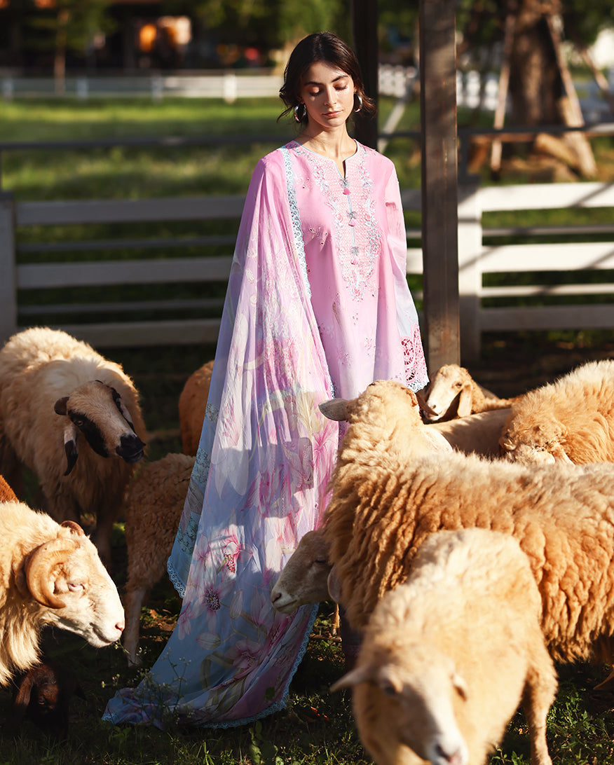 Mushq | Solace | Ombre Chikankari | Faint Blossom