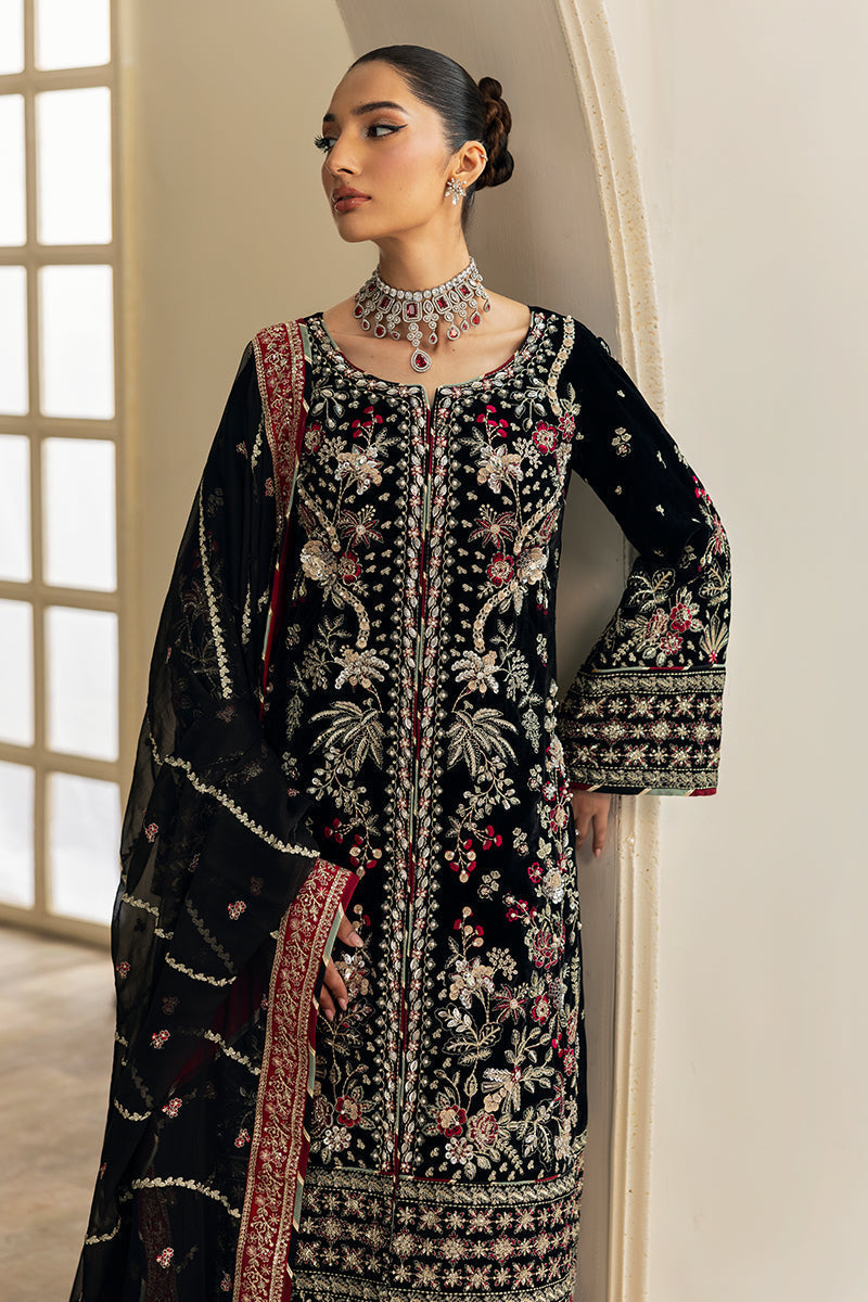 Gulaal | Celeste Velvet 24 | Raven - House Of Anaya
