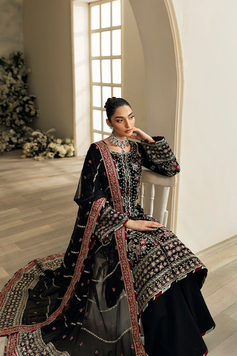 Gulaal | Celeste Velvet 24 | Raven - House Of Anaya