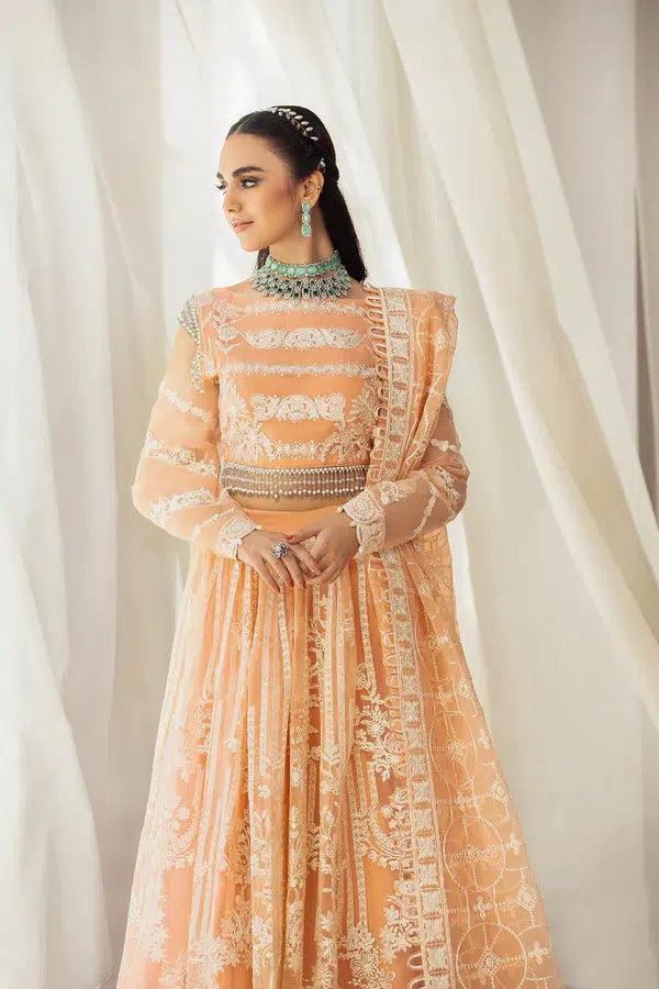 House of Nawab | Gul Mira Luxury Collection 23 | Meshki - House Of Anaya