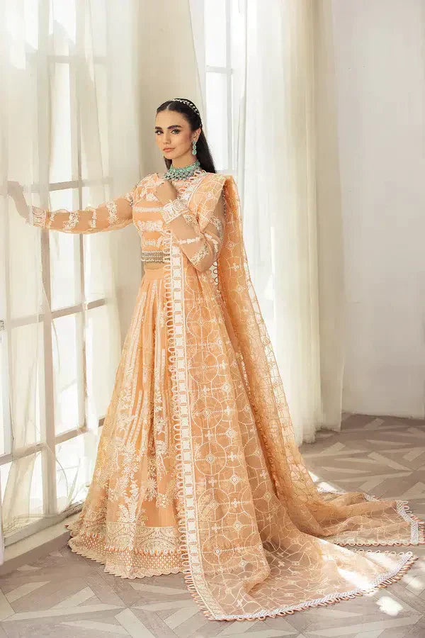 House of Nawab | Gul Mira Luxury Collection 23 | Meshki - House Of Anaya
