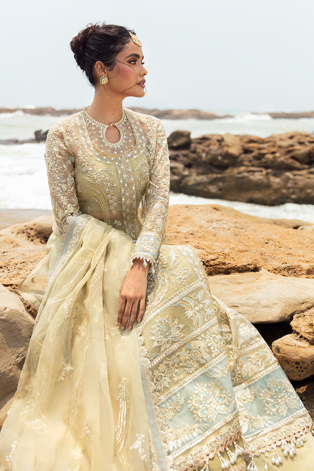 Afrozeh | Dastangoi Wedding Formal'24 | AWE-09 LEELA - Riwayat-e-Khas