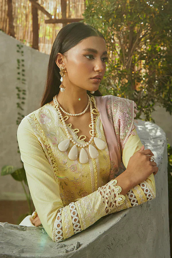 Suffuse | Casual Pret Eid 24 | Amriti - Riwayat-e-Khas