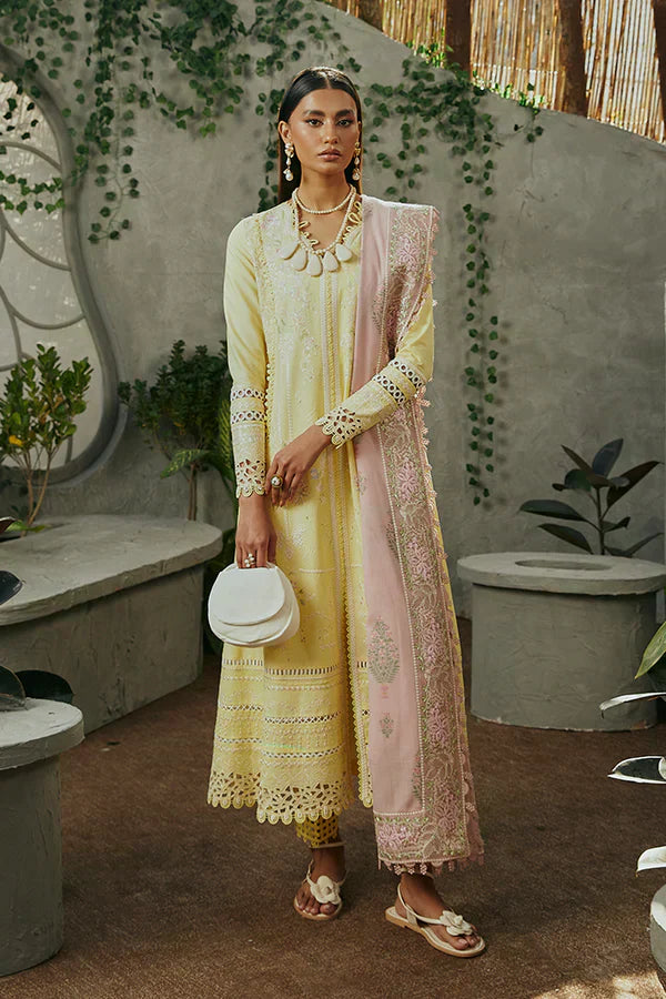 Suffuse | Casual Pret Eid 24 | Amriti - Riwayat-e-Khas