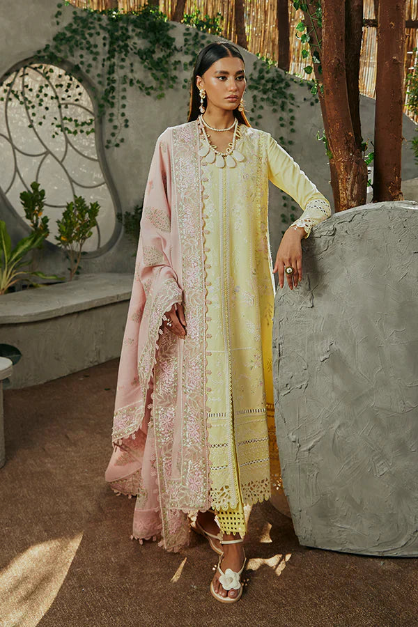 Suffuse | Casual Pret Eid 24 | Amriti - Riwayat-e-Khas