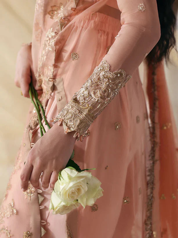 Parishay | Jahanara Luxury Formals | JRA - 01