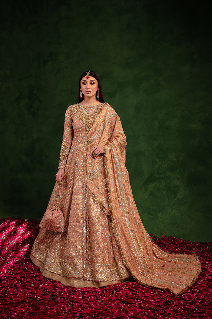 Maria Osama Khan | Salma Sitara | VASL - House Of Anaya