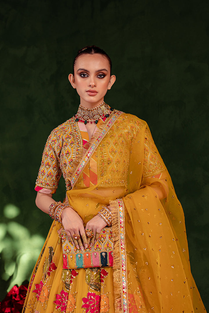Maria Osama Khan | Salma Sitara | CHAMBELI - House Of Anaya