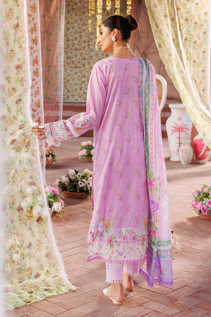 Rajbari | Exclusive Printkari 2024 | 2-B - Riwayat-e-Khas