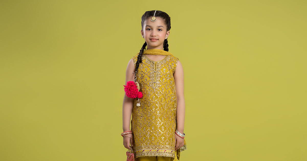 Maria B | 3 Piece Embroidered Organza Suit | MKS-EF24-14 - Libasekhas