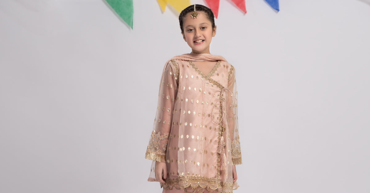 Maria B | 3 Piece Embroidered Organza Suit | MKS-EF24-18 - Libasekhas