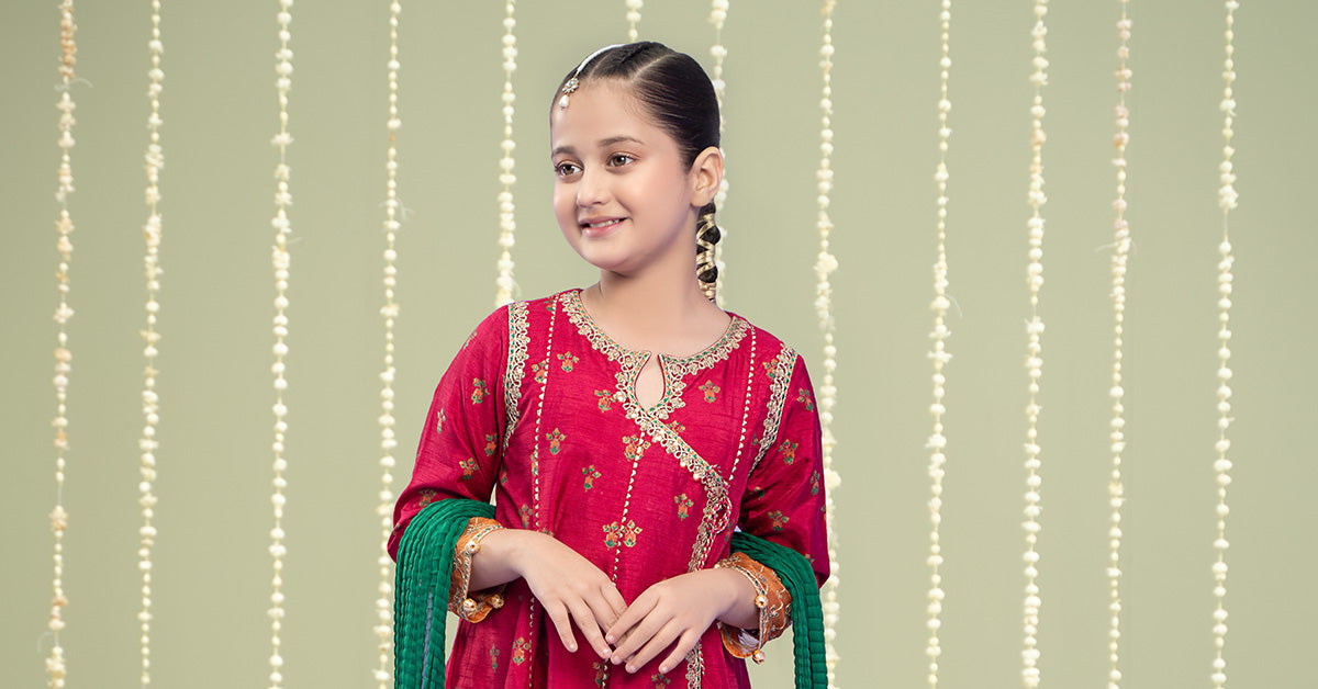 Maria B | 3 Piece Embroidered Raw Silk Suit | MKS-W24-10 - Libasekhas