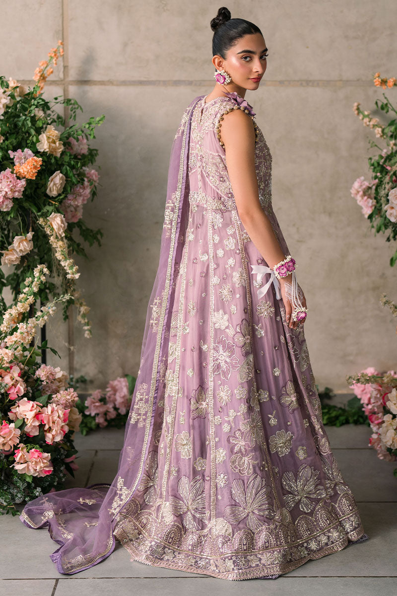 Mushq | Mastani Evening Luxury Chiffon | Sana - House Of Anaya