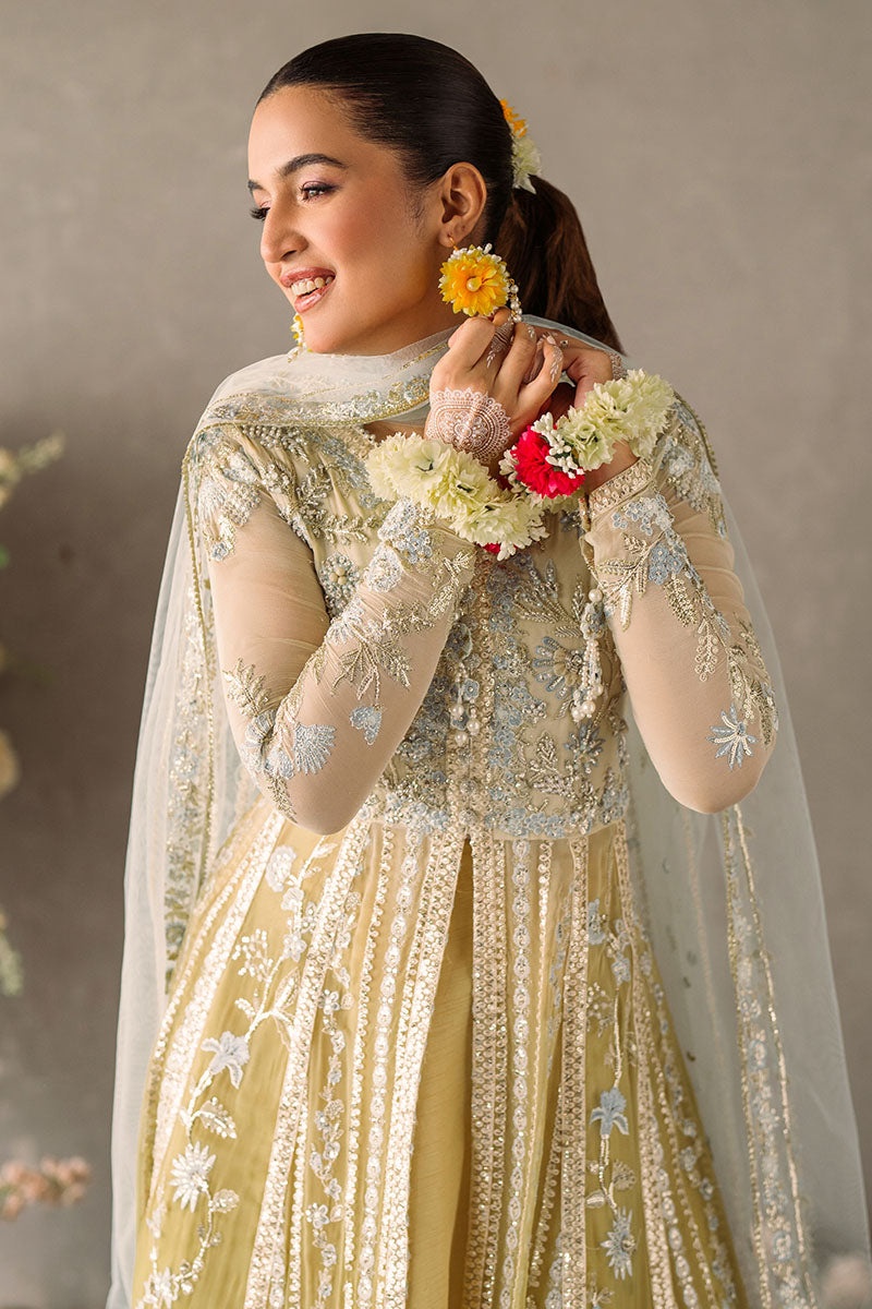 Mushq | Mastani Evening Luxury Chiffon | Hira - House Of Anaya