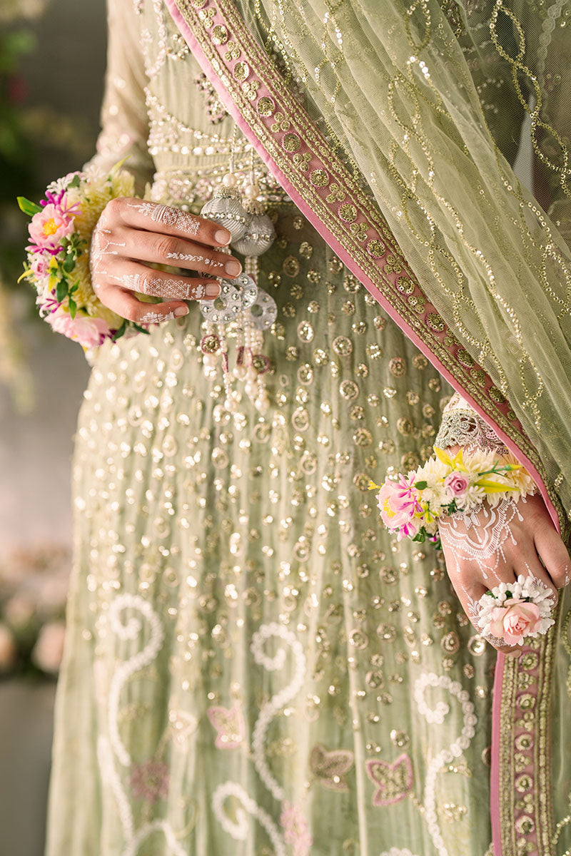 Mushq | Mastani Evening Luxury Chiffon | Namar - House Of Anaya