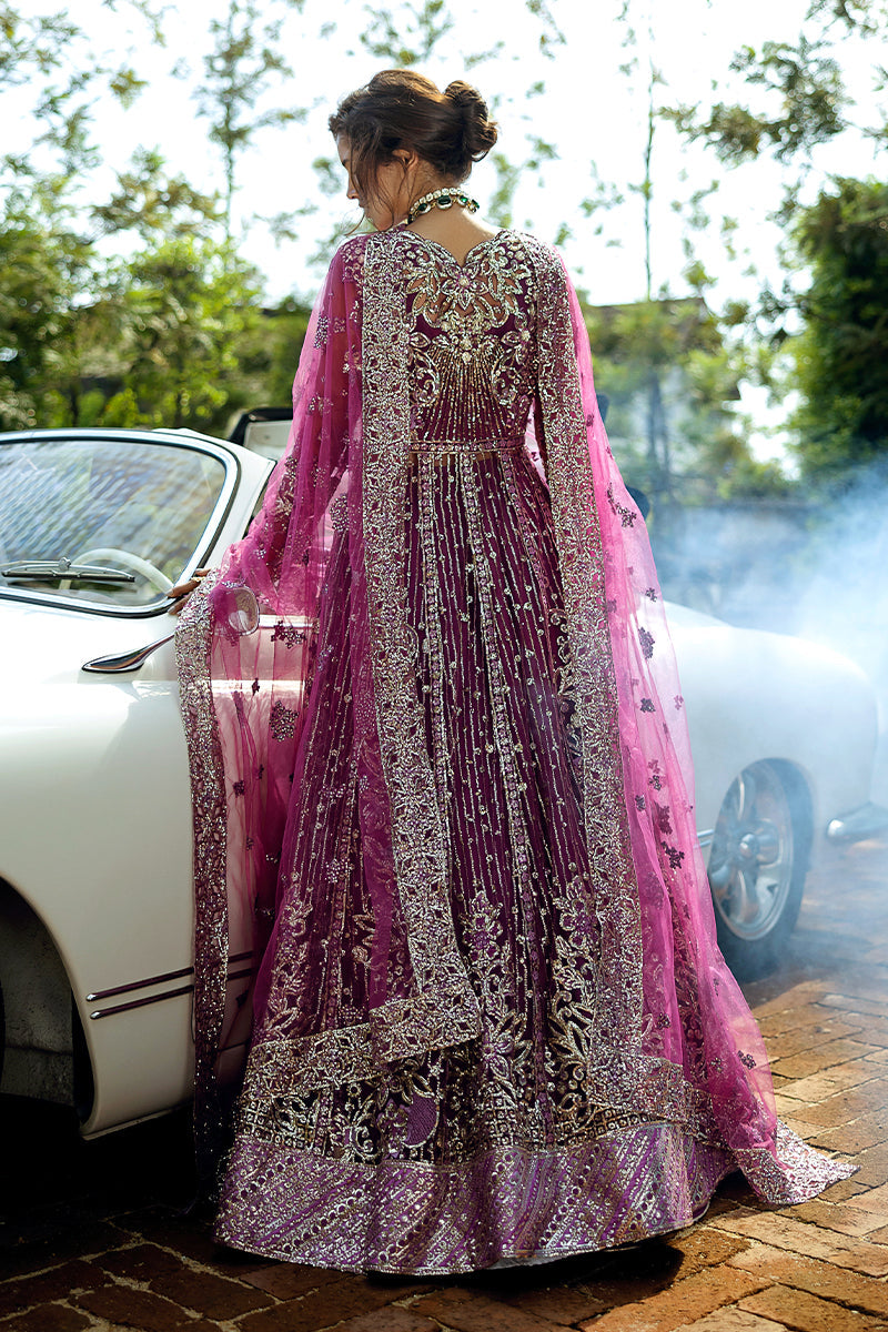 Starstruck Elegance| Mushq'24