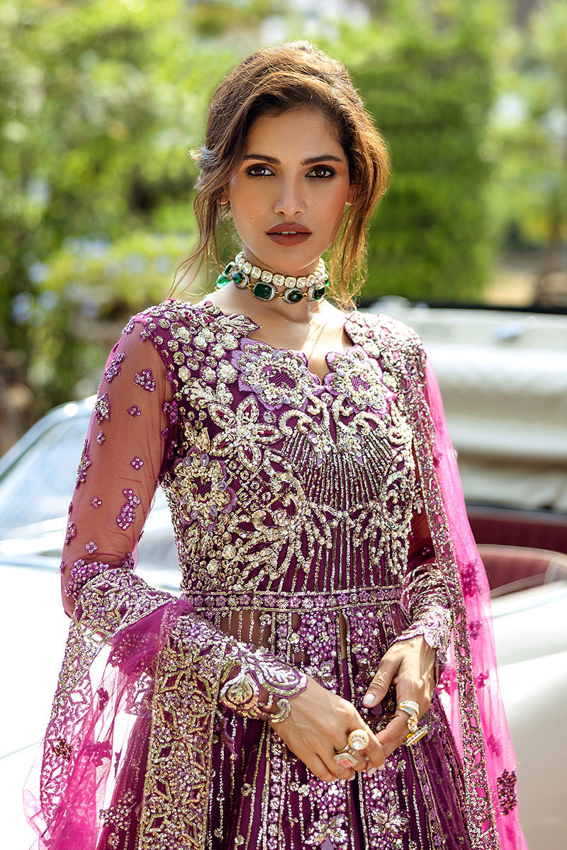 Starstruck Elegance| Mushq'24