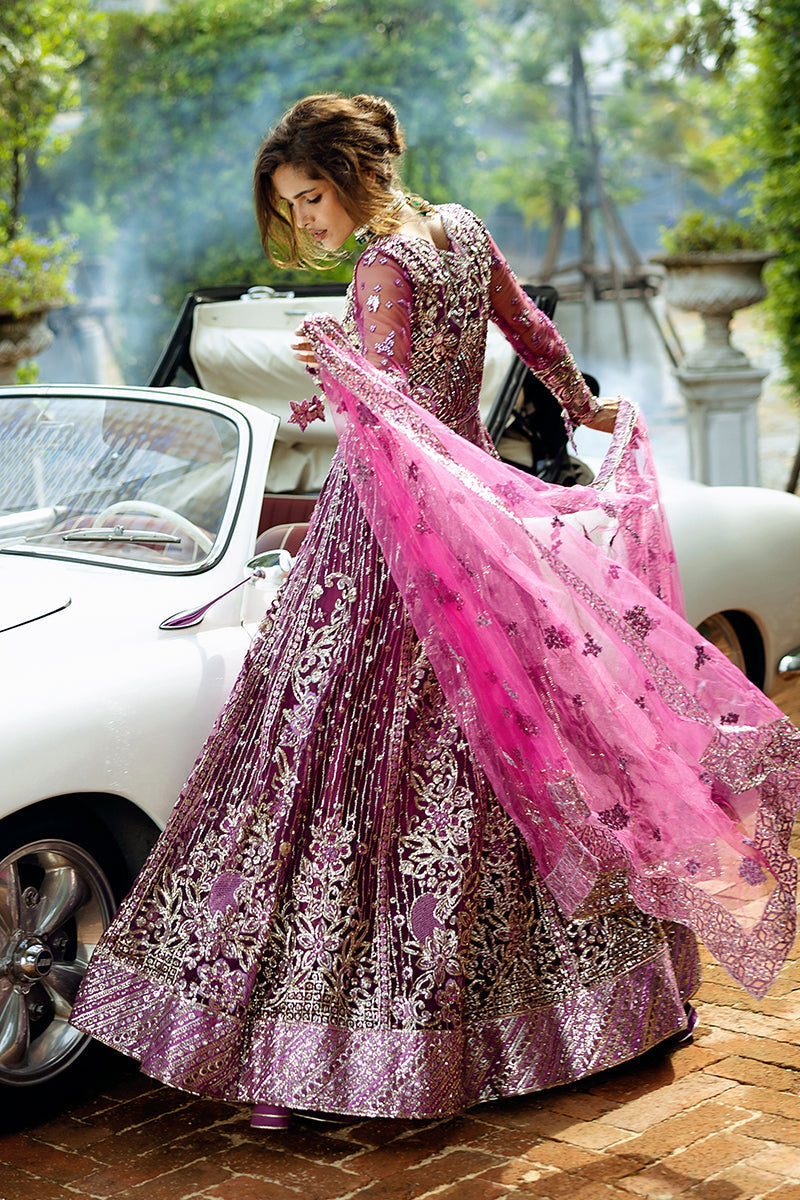 Starstruck Elegance| Mushq'24