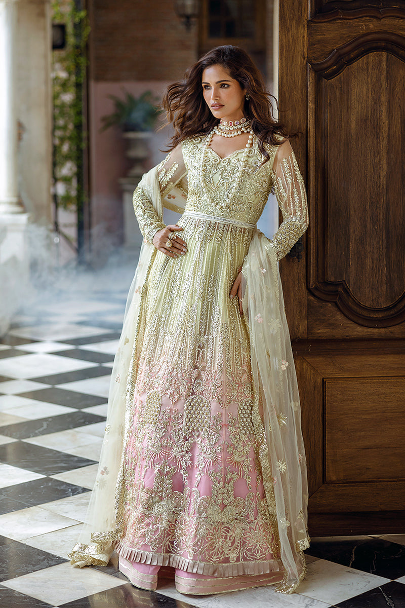 Cosmic Couture| Mushq'24