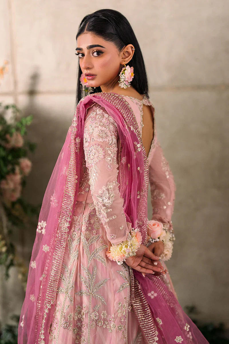 Mushq Mastani Evening Embroidered Chiffon 3Pc Suit MCH-03 MAISHA