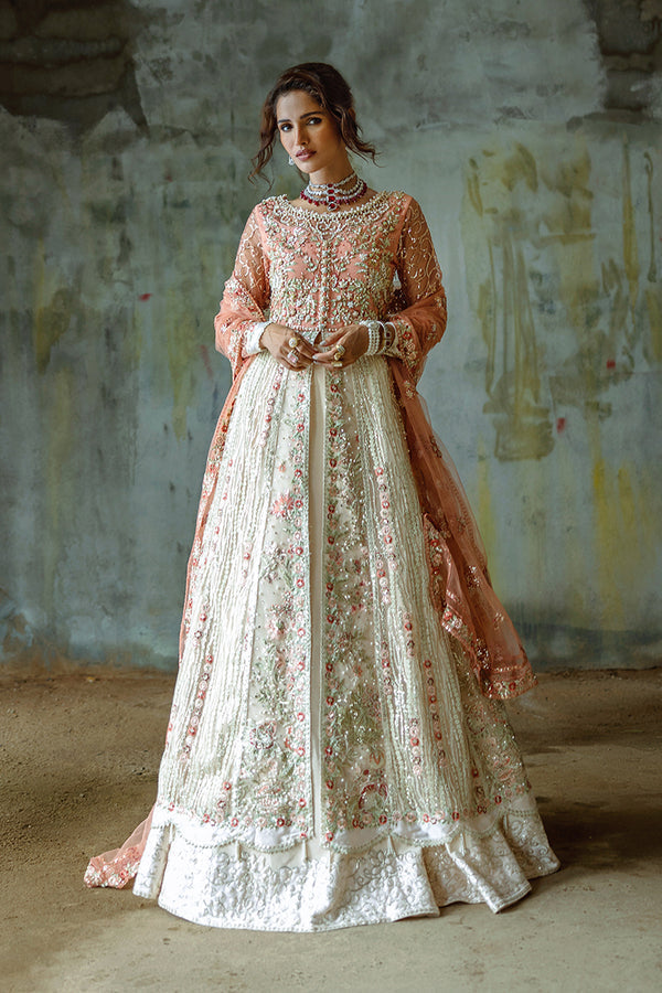 Mushq | Stardust Wedding Collection 24 |   Galaxy Gown - House Of Anaya