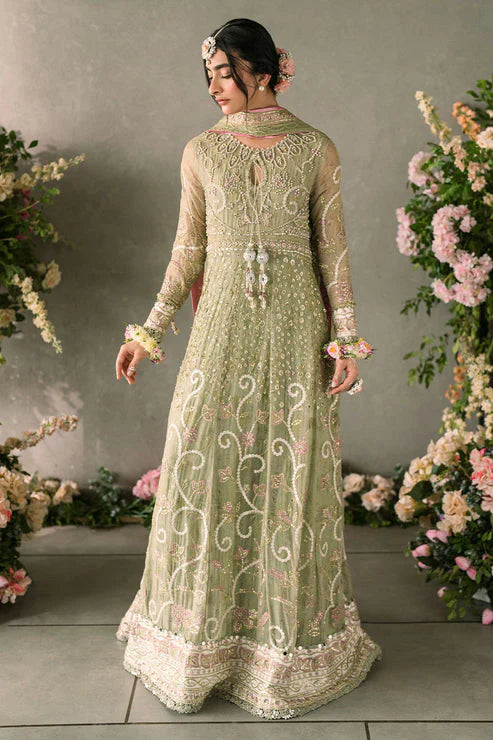 Mushq Mastani Evening Embroidered Chiffon 3Pc Suit MCH-10 NAMAR
