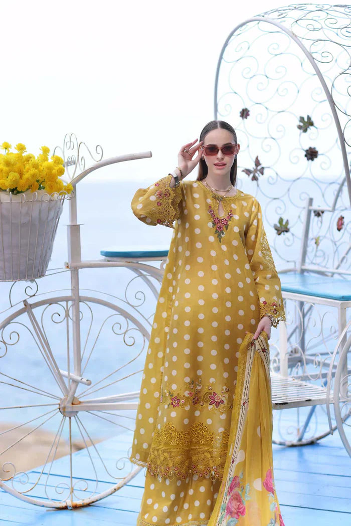 Noor by Saadia Asad | Luxe Printkari 24 | D6-B - House Of Anaya