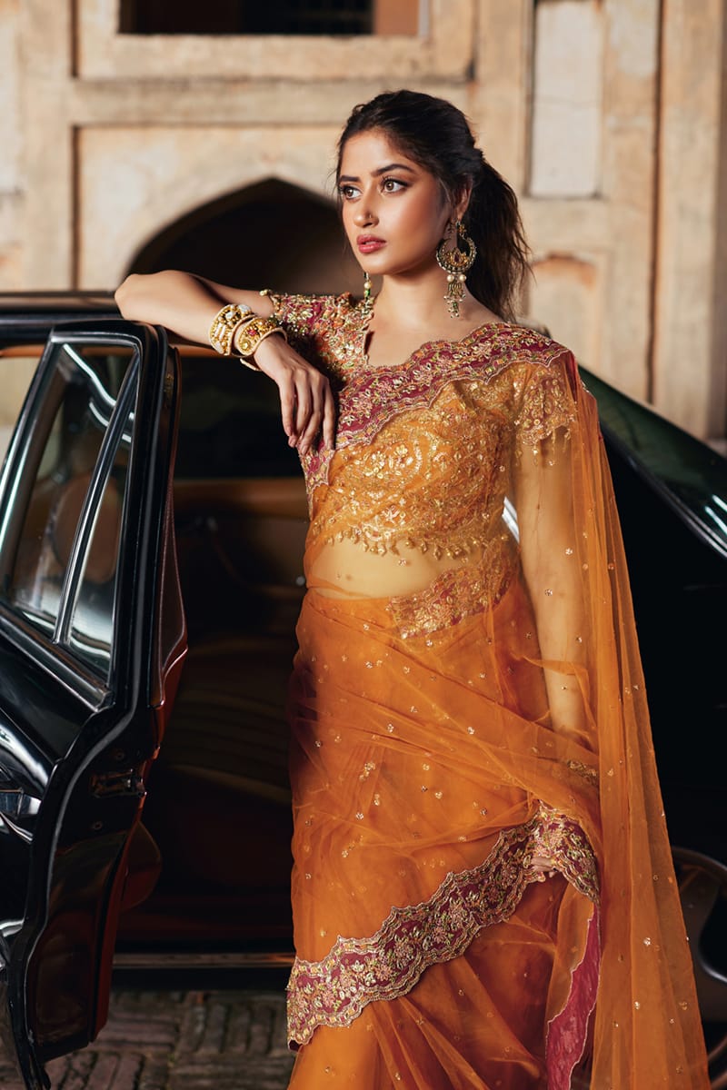 Qalamkar | Shadmani Luxury Formals |  Raniya SH-02 - House Of Anaya