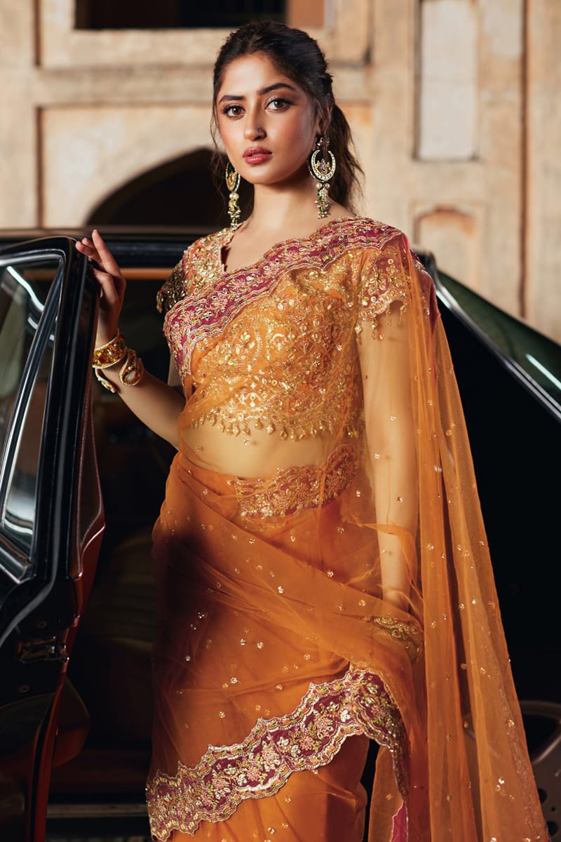 Qalamkar | Shadmani Luxury Formals |  Raniya SH-02 - House Of Anaya