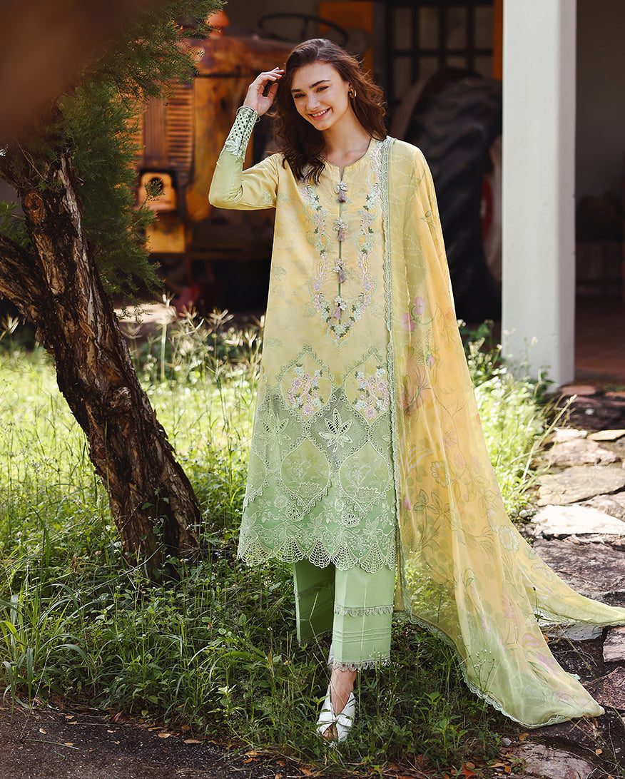 Mushq | Solace | Ombre Chikankari | Quiet Bloom