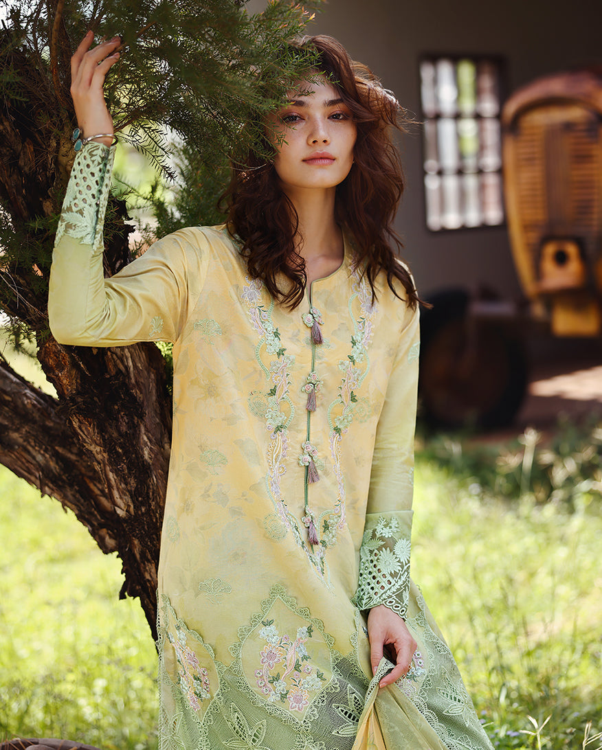 Mushq | Solace | Ombre Chikankari | Quiet Bloom