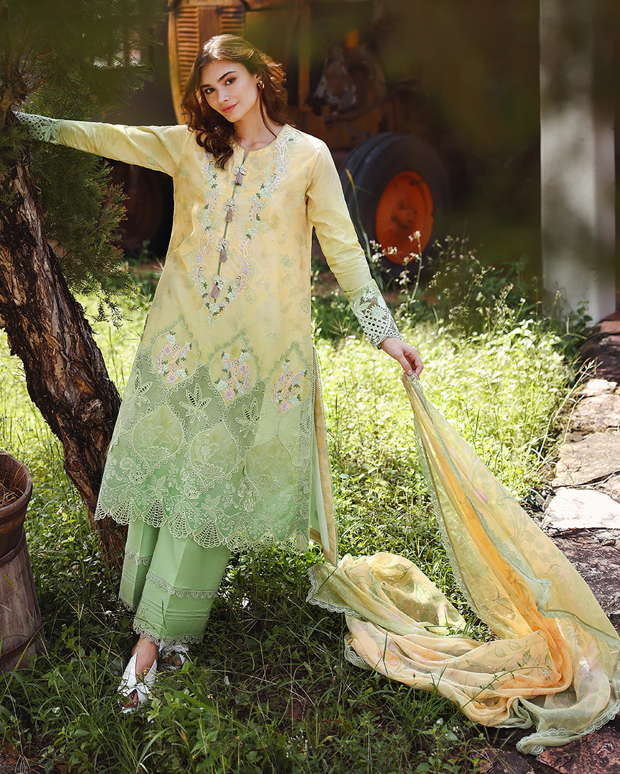 Mushq | Solace | Ombre Chikankari | Quiet Bloom
