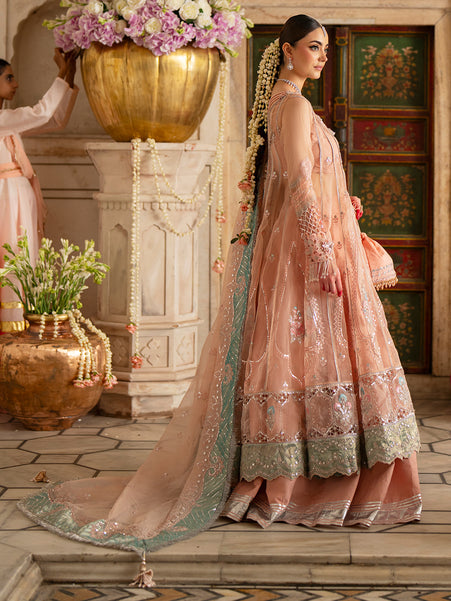 Parishay | Ranibagh Luxury Formals | ROSHANARA