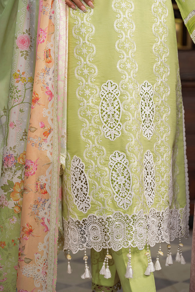 Rajbari | Chikankari Edition 24 | RJB-11 - Riwayat-e-Khas