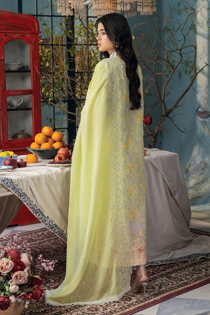 Rajbari | Chikankari Edition 24 | RJB-07 - Riwayat-e-Khas