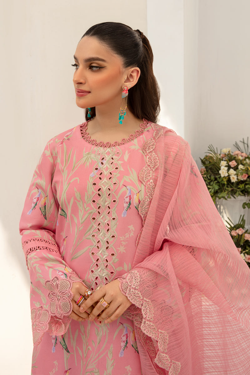 Rangrasiya | Florence Summer Edit 24 | Aria