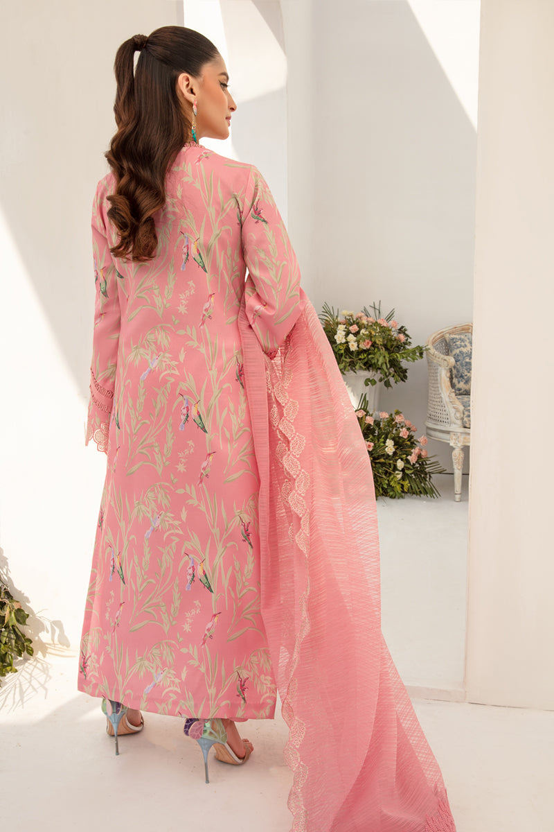 Rangrasiya | Florence Summer Edit 24 | Aria