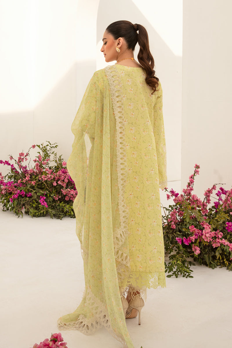 Rangrasiya | Florence Summer Edit 24 | Olivia