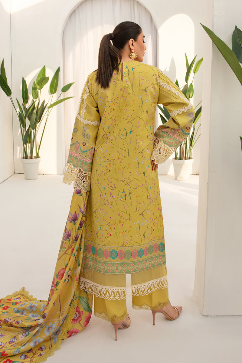 Rangrasiya | Florence Summer Edit 24 | Sunshine