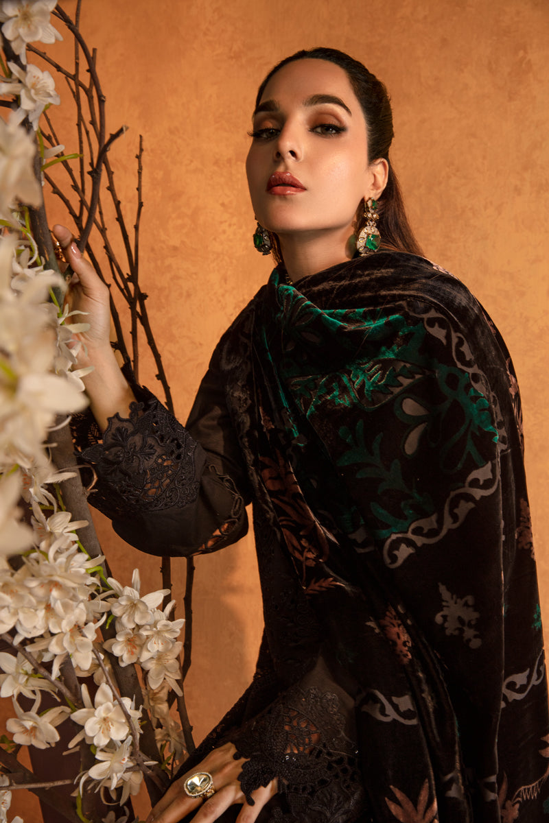 Rangrasiya | Premium Winter Edit 24 |  Espresso