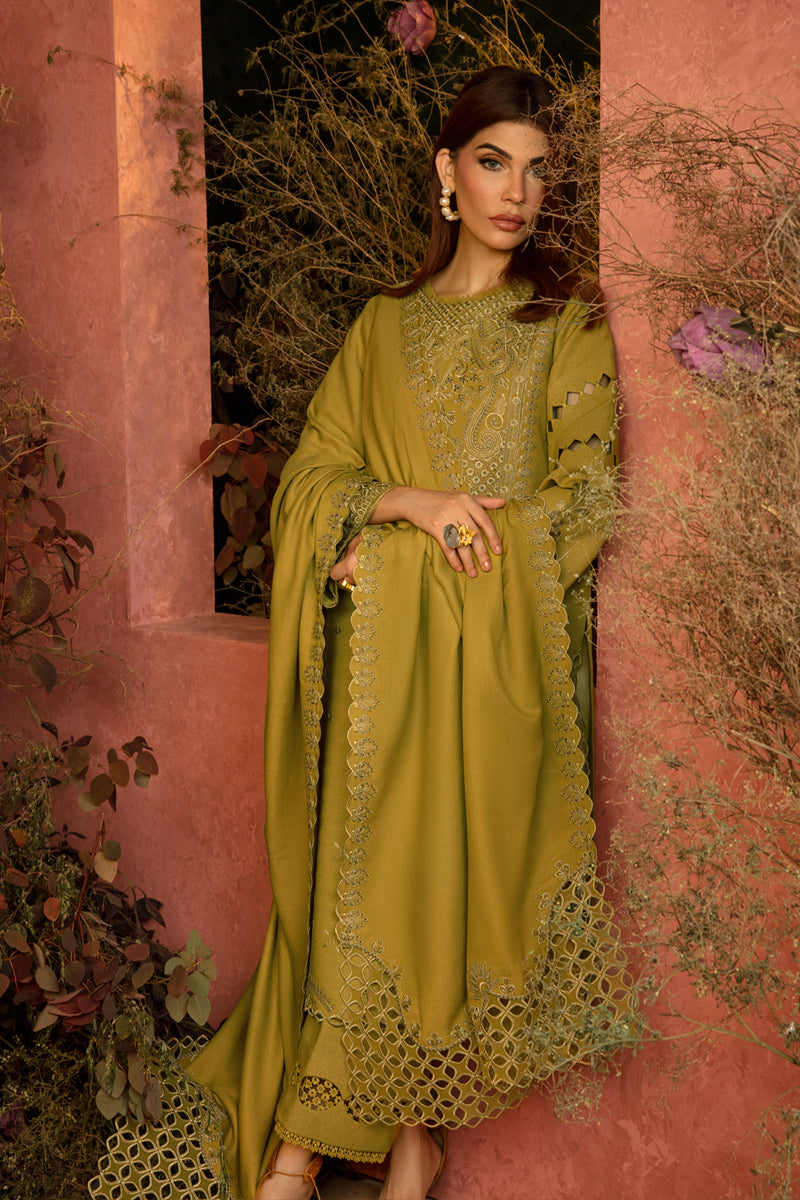 Rangrasiya | Premium Winter Edit 24 |  Cardamom