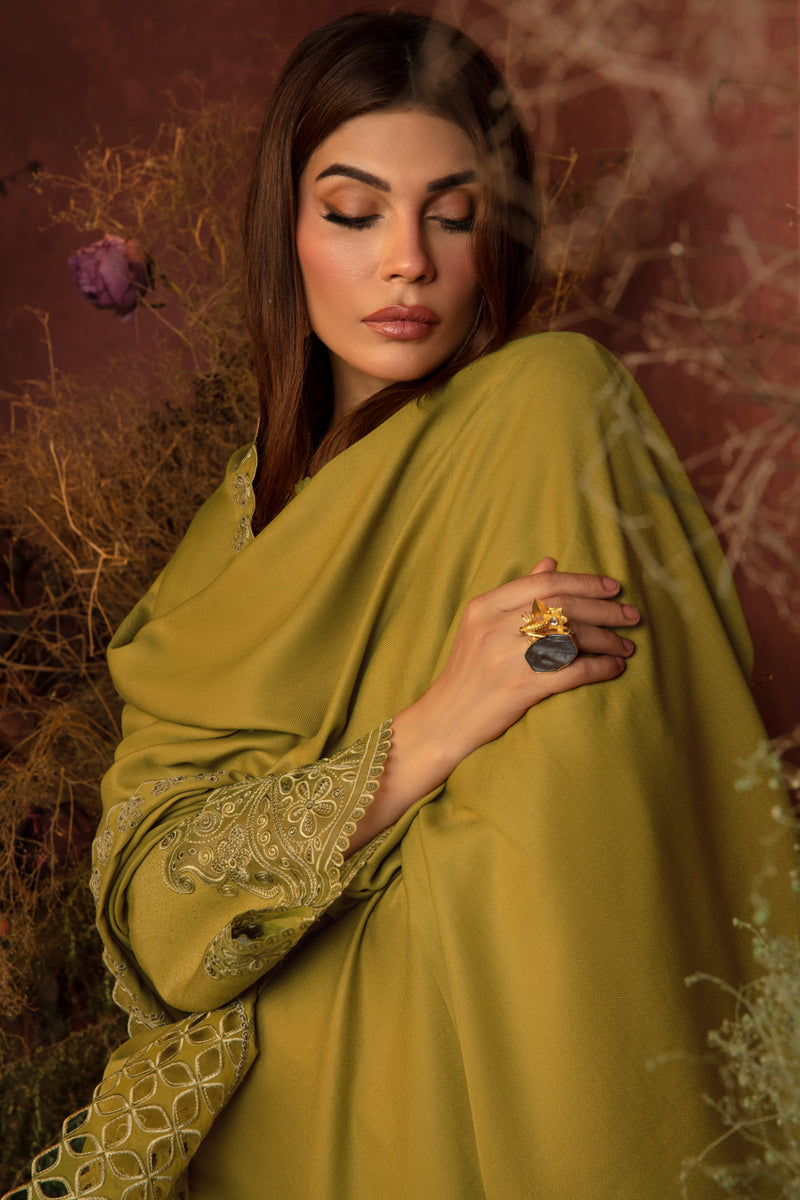 Rangrasiya | Premium Winter Edit 24 |  Cardamom