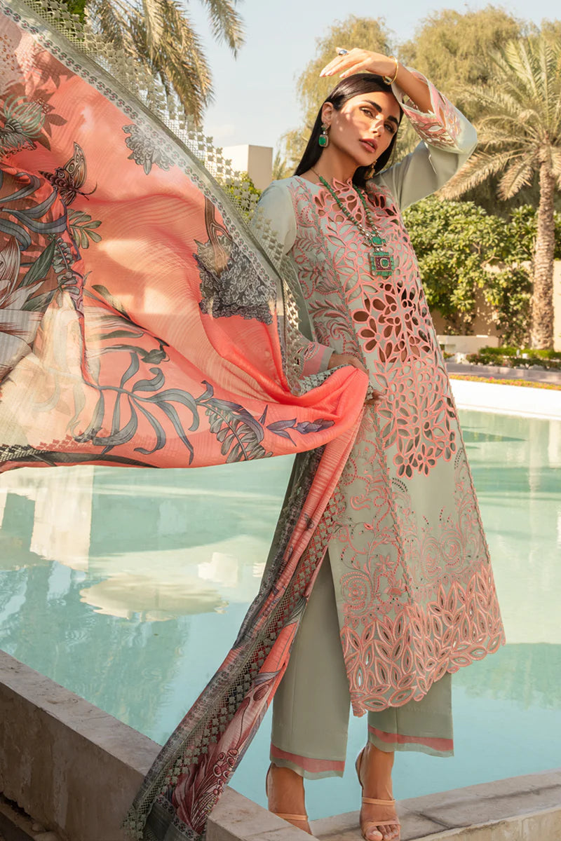 Rangrasiya | Carnation Summer 24 | Orchid