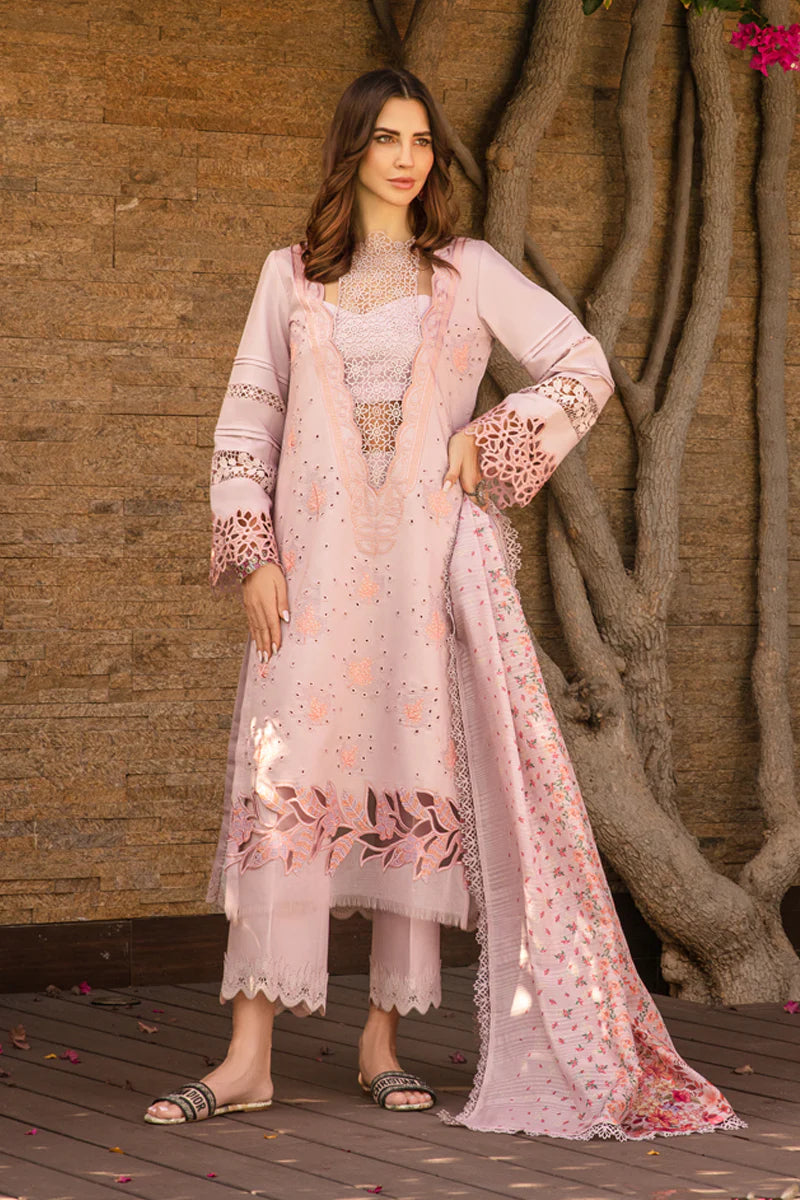 Rangrasiya | Carnation Summer 24 | Zinnia