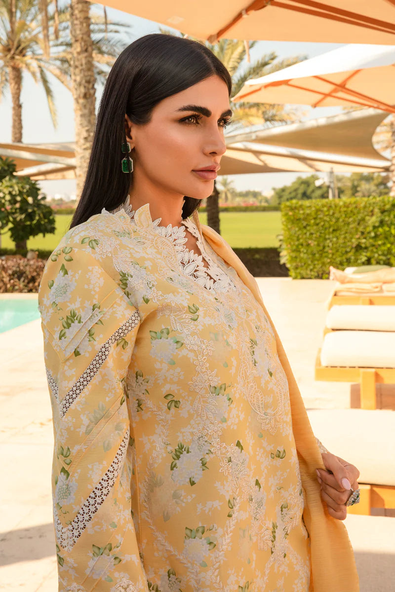 Rangrasiya | Carnation Summer 24 | Ariana