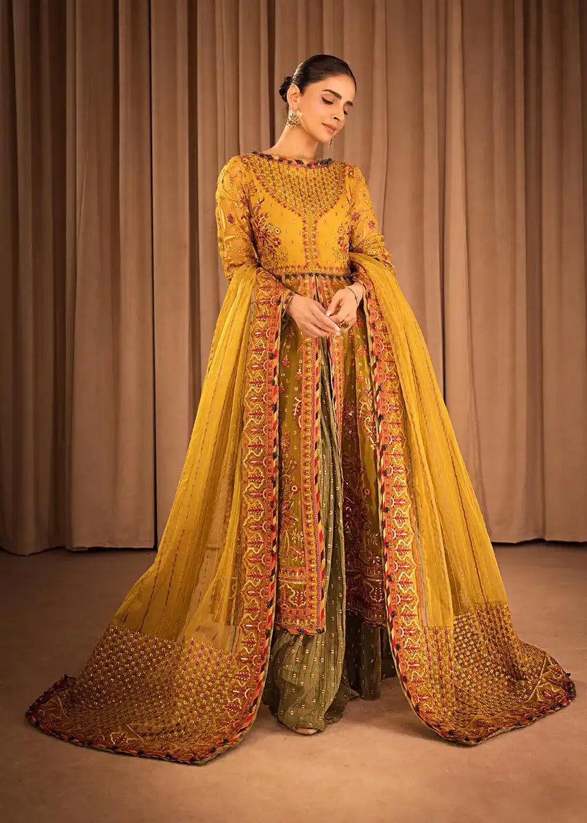 HSY | Rehana Collection 2023 | Ronak - Riwayat-e-Khas