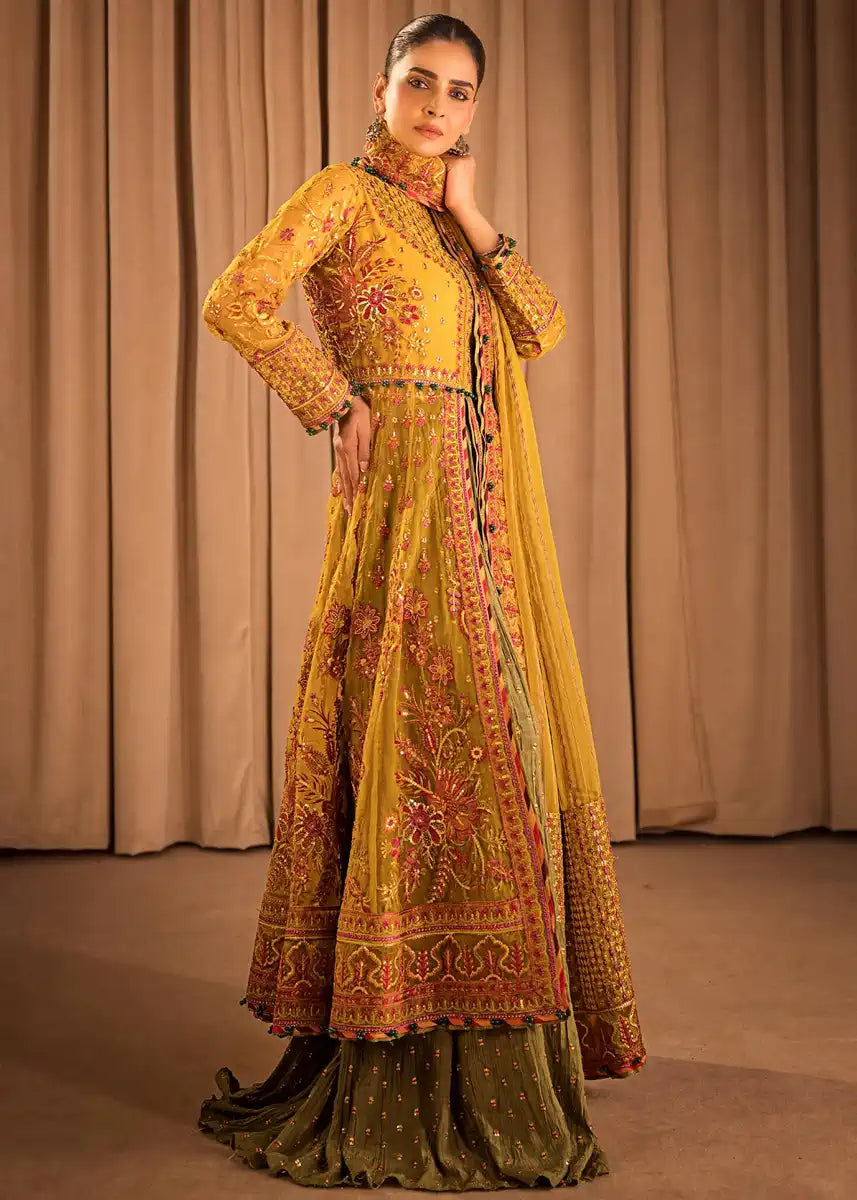 HSY | Rehana Collection 2023 | Ronak - Riwayat-e-Khas